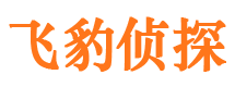 长武外遇取证